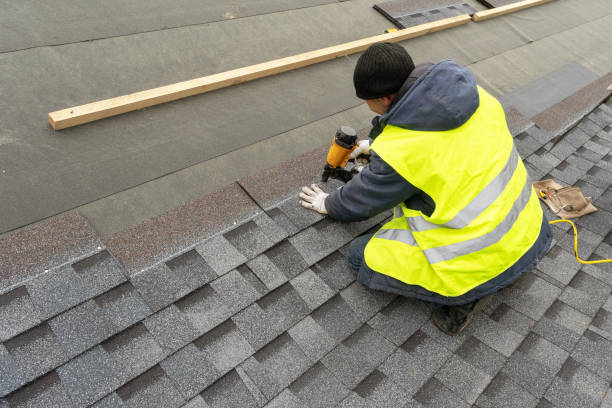 Best Metal Roofing Contractor  in Jackson, WI