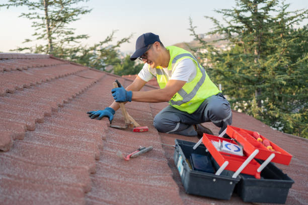 Best Storm Damage Roof Repair  in Jackson, WI