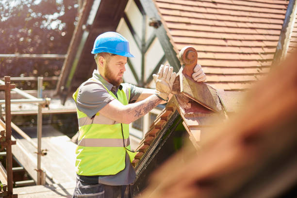Best Roof Repair Specialists  in Jackson, WI
